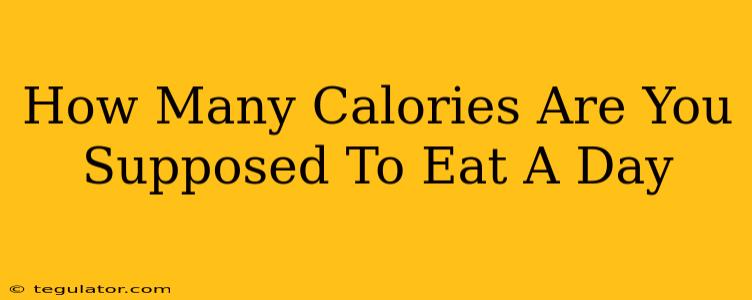 How Many Calories Are You Supposed To Eat A Day