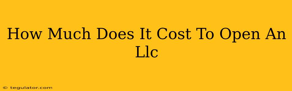 How Much Does It Cost To Open An Llc