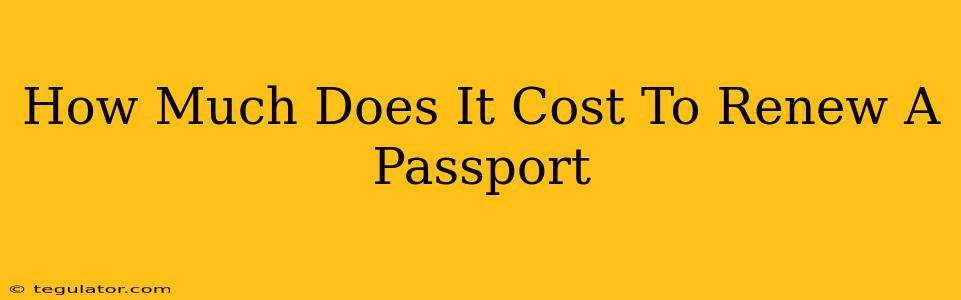 How Much Does It Cost To Renew A Passport