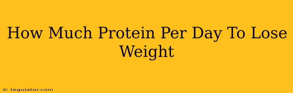 How Much Protein Per Day To Lose Weight