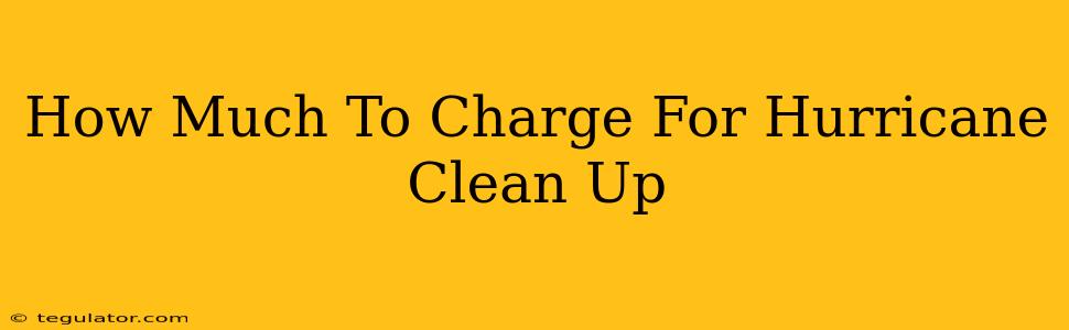 How Much To Charge For Hurricane Clean Up