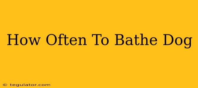 How Often To Bathe Dog