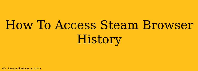 How To Access Steam Browser History