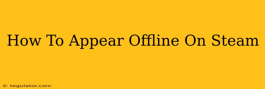 How To Appear Offline On Steam