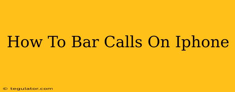 How To Bar Calls On Iphone