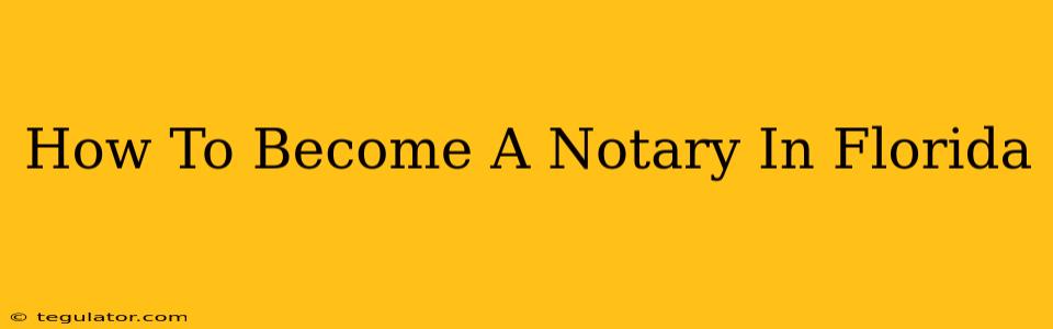 How To Become A Notary In Florida