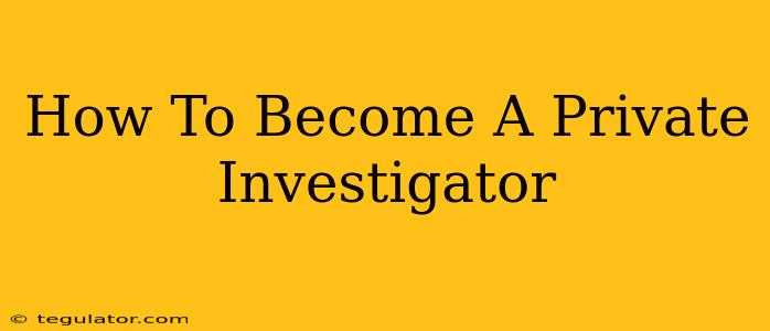 How To Become A Private Investigator