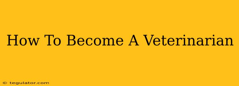 How To Become A Veterinarian