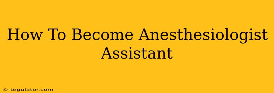 How To Become Anesthesiologist Assistant