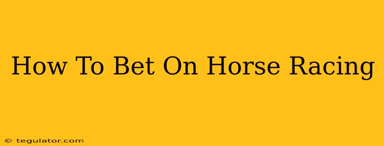 How To Bet On Horse Racing