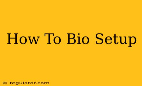 How To Bio Setup