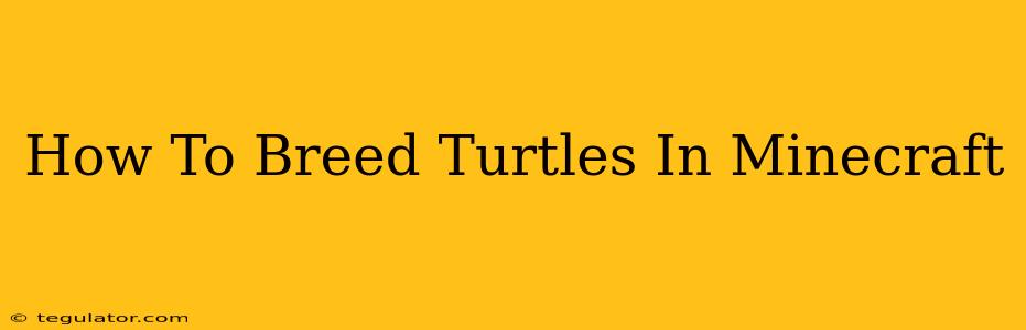 How To Breed Turtles In Minecraft