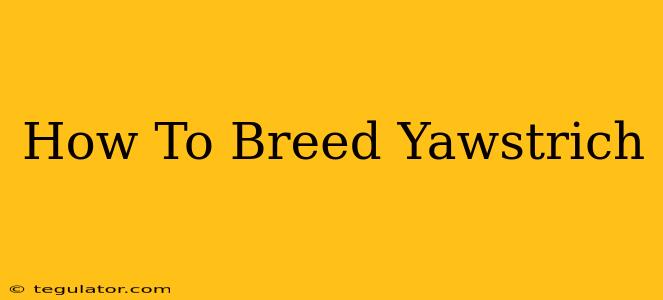 How To Breed Yawstrich