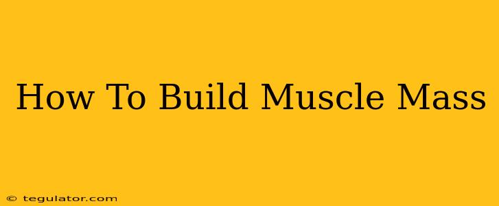 How To Build Muscle Mass