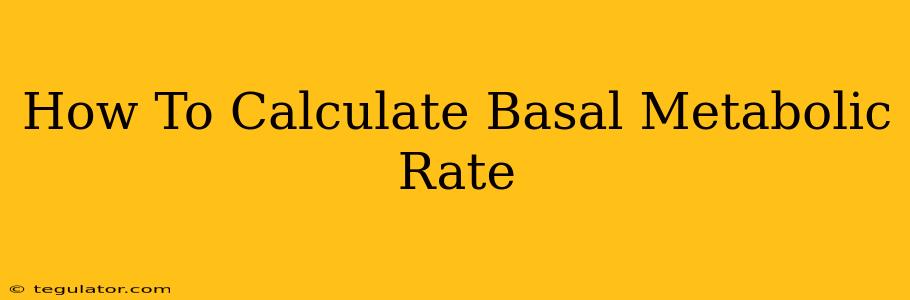 How To Calculate Basal Metabolic Rate