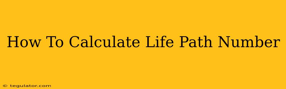 How To Calculate Life Path Number