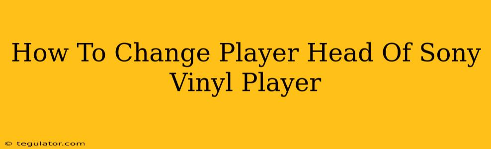 How To Change Player Head Of Sony Vinyl Player