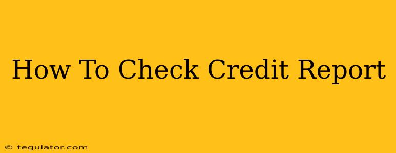 How To Check Credit Report