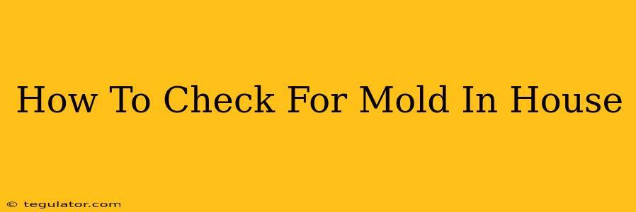 How To Check For Mold In House