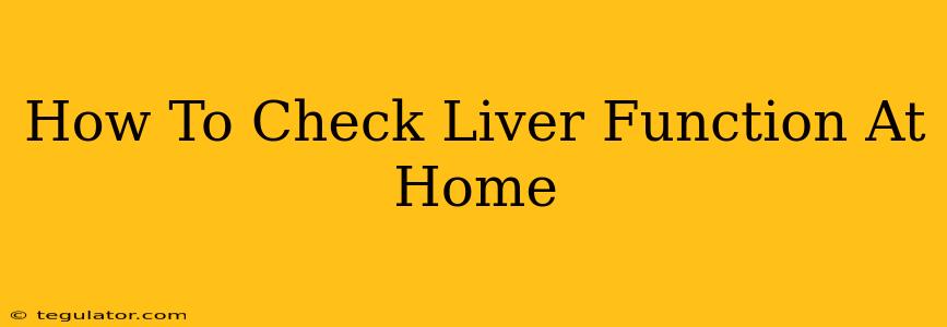 How To Check Liver Function At Home