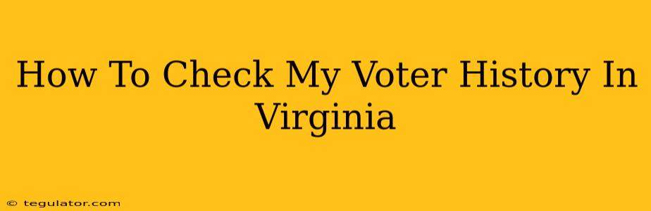 How To Check My Voter History In Virginia