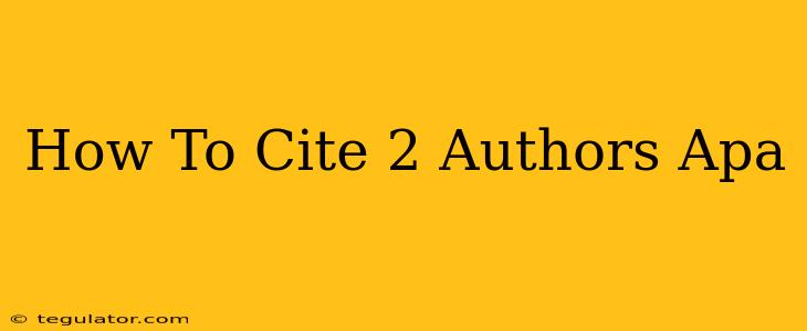 How To Cite 2 Authors Apa