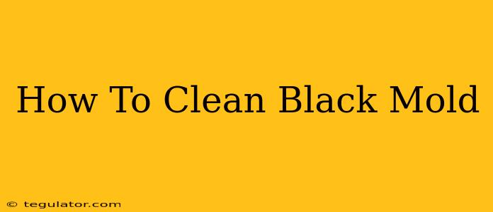 How To Clean Black Mold