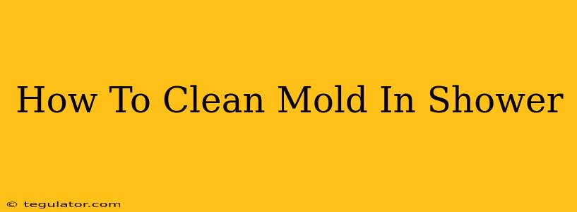 How To Clean Mold In Shower