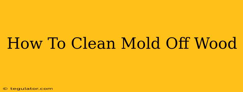 How To Clean Mold Off Wood