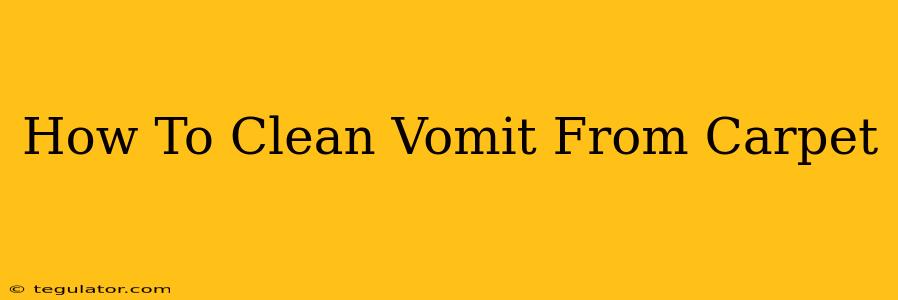 How To Clean Vomit From Carpet