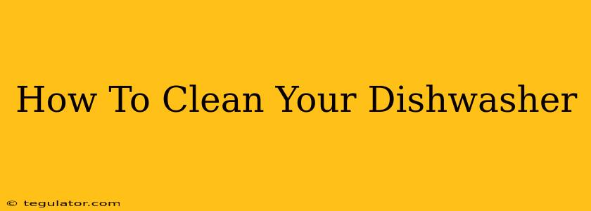 How To Clean Your Dishwasher