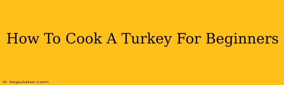 How To Cook A Turkey For Beginners