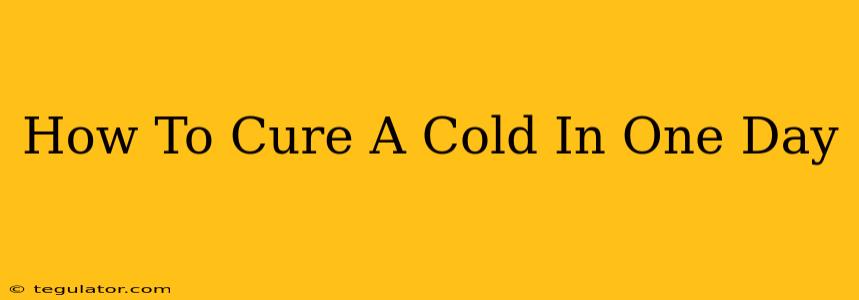 How To Cure A Cold In One Day