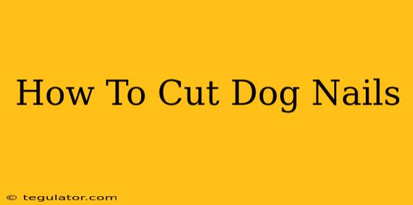 How To Cut Dog Nails