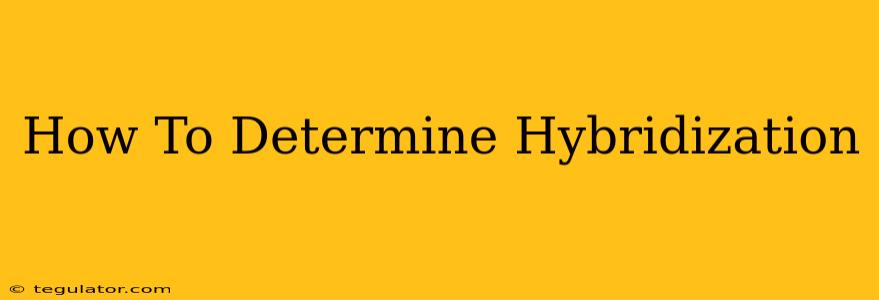 How To Determine Hybridization