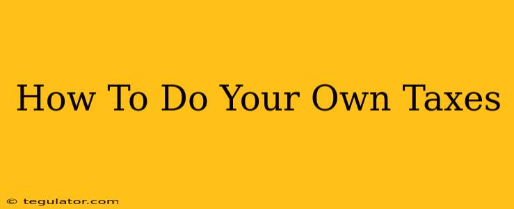 How To Do Your Own Taxes