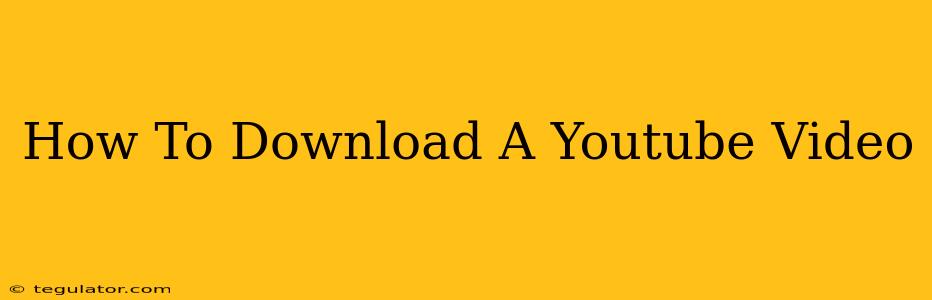 How To Download A Youtube Video