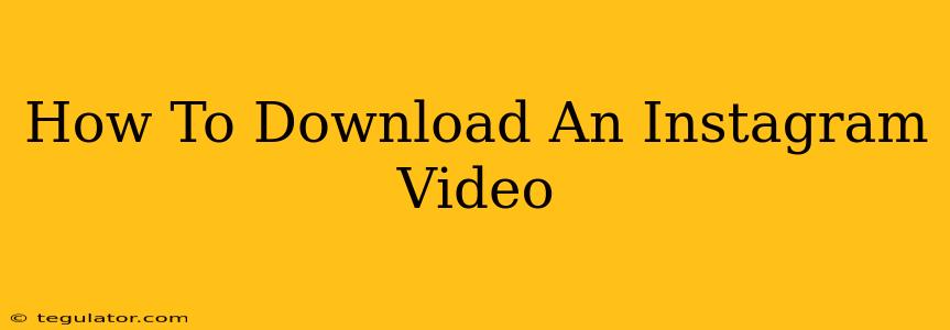 How To Download An Instagram Video
