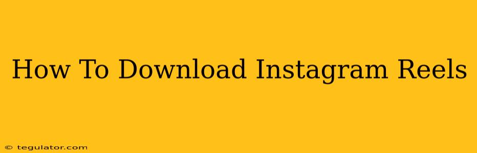 How To Download Instagram Reels