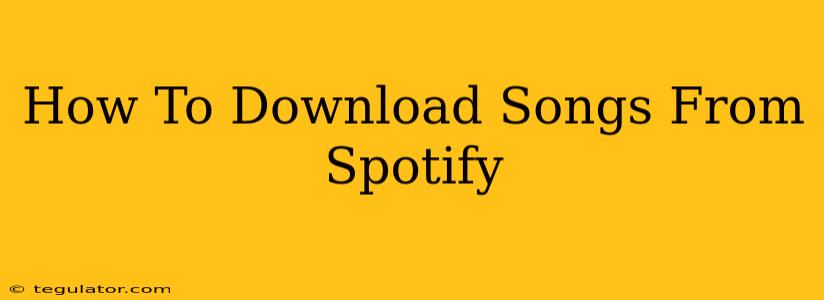 How To Download Songs From Spotify