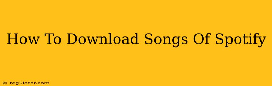 How To Download Songs Of Spotify