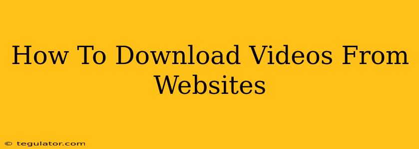 How To Download Videos From Websites