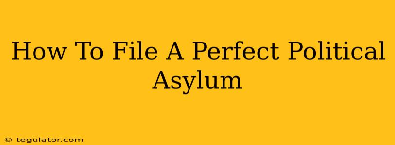 How To File A Perfect Political Asylum