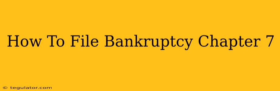 How To File Bankruptcy Chapter 7