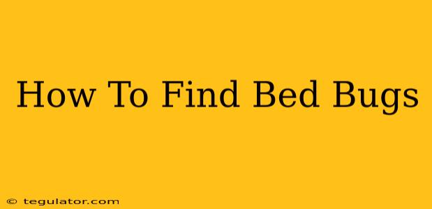 How To Find Bed Bugs