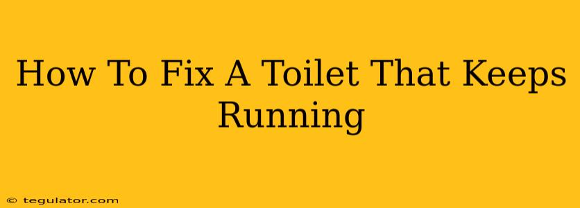 How To Fix A Toilet That Keeps Running