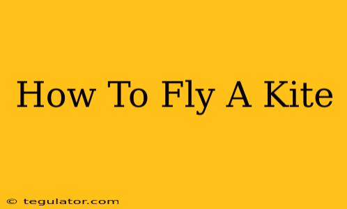 How To Fly A Kite