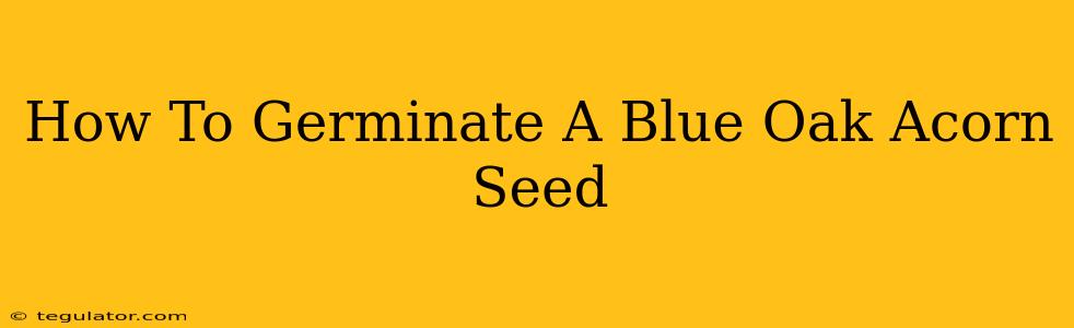 How To Germinate A Blue Oak Acorn Seed