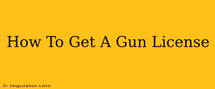 How To Get A Gun License