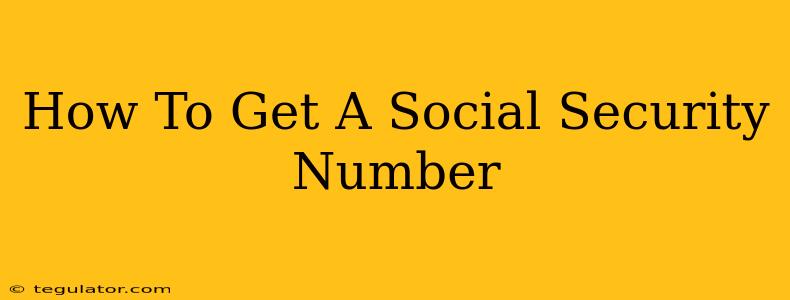 How To Get A Social Security Number